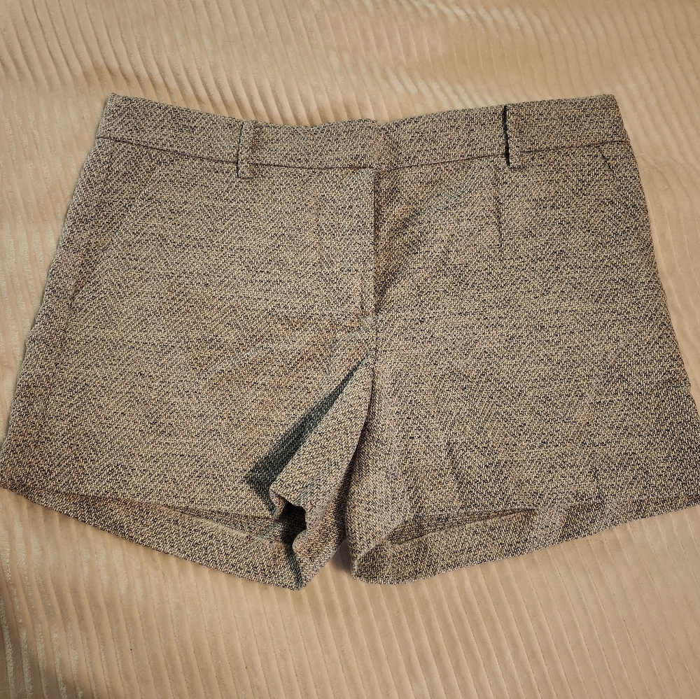 Loft shorts size 10